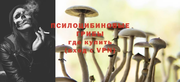 мет Касимов