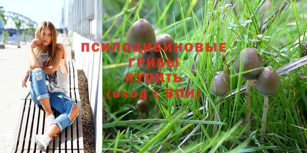 винт Балахна