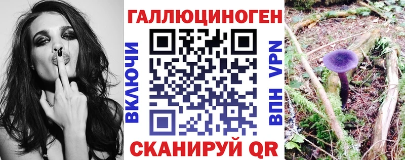 Псилоцибиновые грибы Magic Shrooms  цена   Зеленокумск 